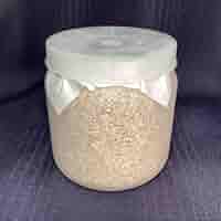 EXCEEDCRAFT 菌糸ビン 1400cc GSP 10本　オオクワ ギネス Amazon | MYCELIUM 菌糸ビン1400cc オオヒラタケ菌 ホワイト 二